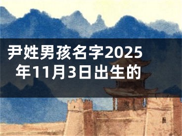 尹姓男孩名字2025年11月3日出生的