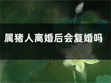 属猪人离婚后会复婚吗