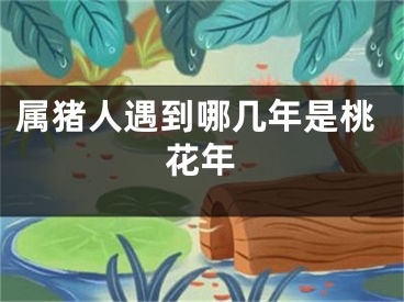 属猪人遇到哪几年是桃花年