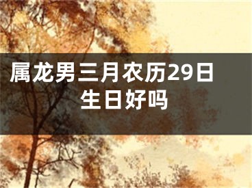 属龙男三月农历29日生日好吗