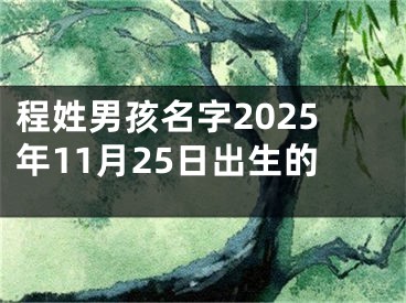 程姓男孩名字2025年11月25日出生的