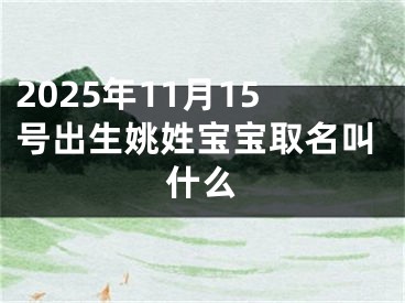 2025年11月15号出生姚姓宝宝取名叫什么