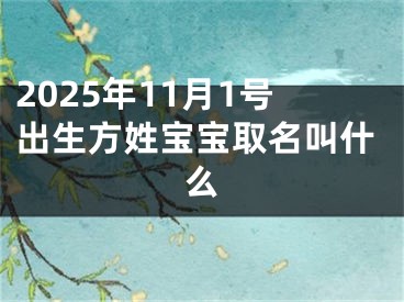 2025年11月1号出生方姓宝宝取名叫什么