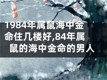 1984年属鼠海中金命住几楼好,84年属鼠的海中金命的男人