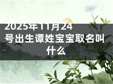 2025年11月24号出生谭姓宝宝取名叫什么