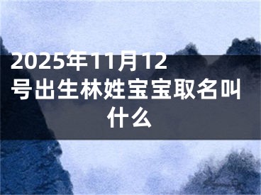 2025年11月12号出生林姓宝宝取名叫什么