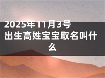 2025年11月3号出生高姓宝宝取名叫什么
