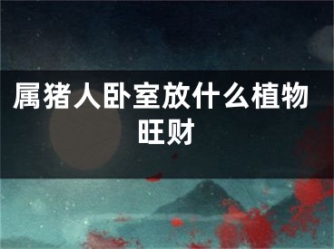 属猪人卧室放什么植物旺财