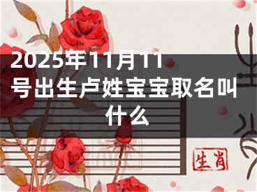 2025年11月11号出生卢姓宝宝取名叫什么