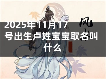 2025年11月17号出生卢姓宝宝取名叫什么