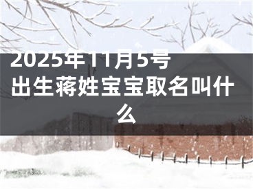 2025年11月5号出生蒋姓宝宝取名叫什么