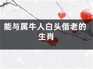 能与属牛人白头偕老的生肖