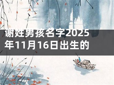 谢姓男孩名字2025年11月16日出生的