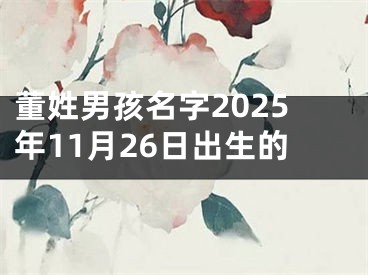 董姓男孩名字2025年11月26日出生的