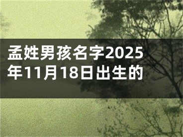 孟姓男孩名字2025年11月18日出生的