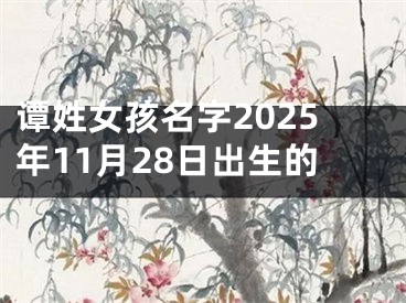 谭姓女孩名字2025年11月28日出生的