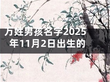 万姓男孩名字2025年11月2日出生的