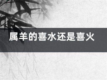 属羊的喜水还是喜火