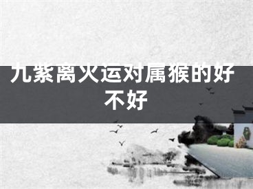 九紫离火运对属猴的好不好