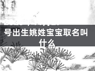 2025年11月29号出生姚姓宝宝取名叫什么