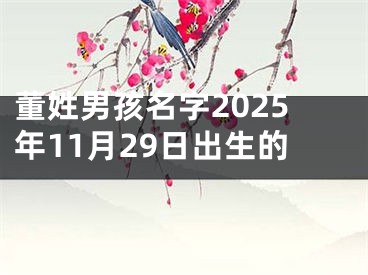 董姓男孩名字2025年11月29日出生的