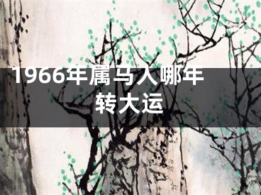1966年属马人哪年转大运