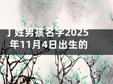 丁姓男孩名字2025年11月4日出生的