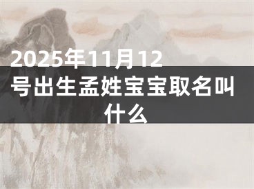 2025年11月12号出生孟姓宝宝取名叫什么