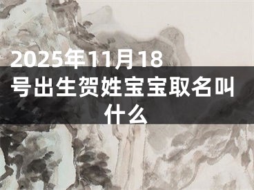 2025年11月18号出生贺姓宝宝取名叫什么