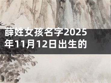 薛姓女孩名字2025年11月12日出生的