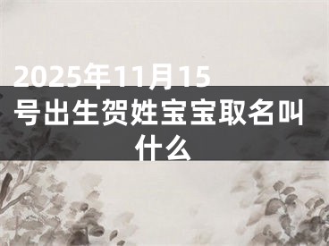 2025年11月15号出生贺姓宝宝取名叫什么
