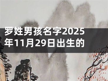 罗姓男孩名字2025年11月29日出生的
