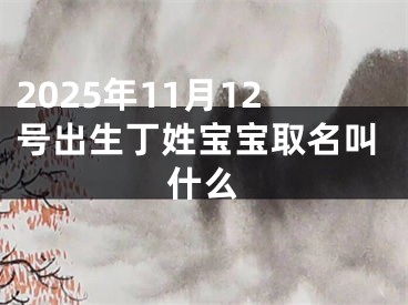 2025年11月12号出生丁姓宝宝取名叫什么