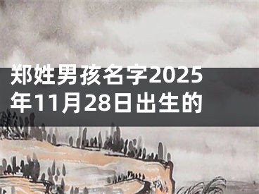 郑姓男孩名字2025年11月28日出生的