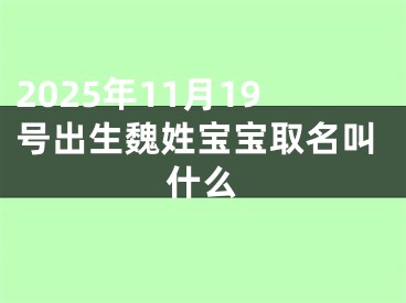 2025年11月19号出生魏姓宝宝取名叫什么