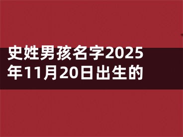 史姓男孩名字2025年11月20日出生的