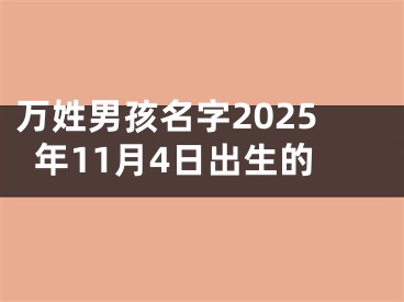万姓男孩名字2025年11月4日出生的
