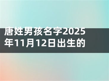 唐姓男孩名字2025年11月12日出生的