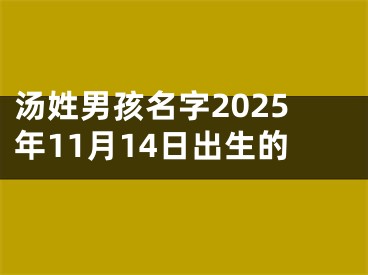 汤姓男孩名字2025年11月14日出生的