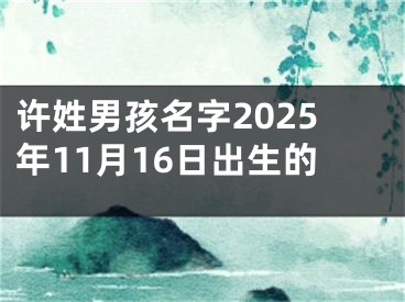 许姓男孩名字2025年11月16日出生的
