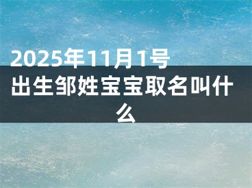 2025年11月1号出生邹姓宝宝取名叫什么