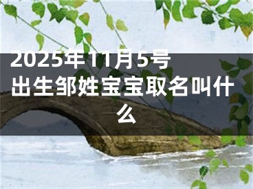 2025年11月5号出生邹姓宝宝取名叫什么