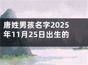 唐姓男孩名字2025年11月25日出生的