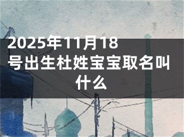 2025年11月18号出生杜姓宝宝取名叫什么