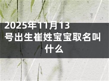 2025年11月13号出生崔姓宝宝取名叫什么