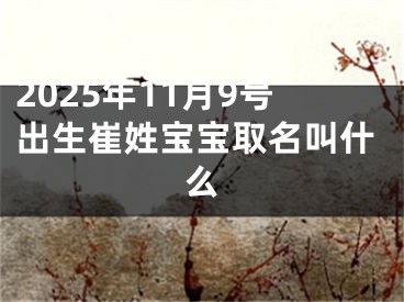 2025年11月9号出生崔姓宝宝取名叫什么