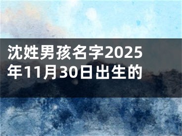 沈姓男孩名字2025年11月30日出生的