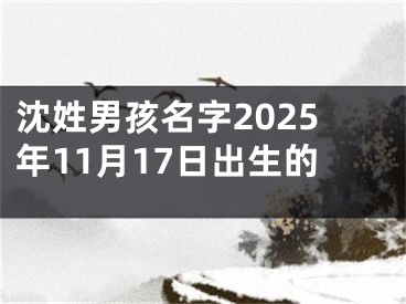 沈姓男孩名字2025年11月17日出生的