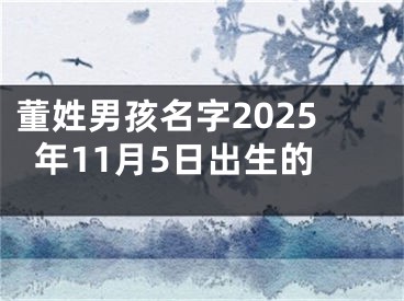 董姓男孩名字2025年11月5日出生的