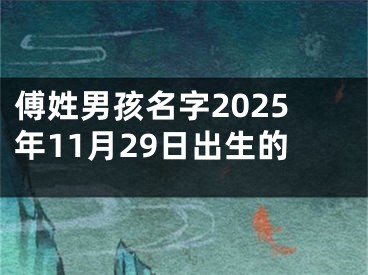 傅姓男孩名字2025年11月29日出生的
